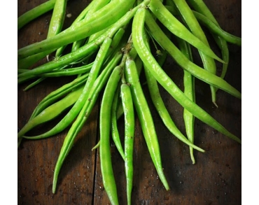 Guar