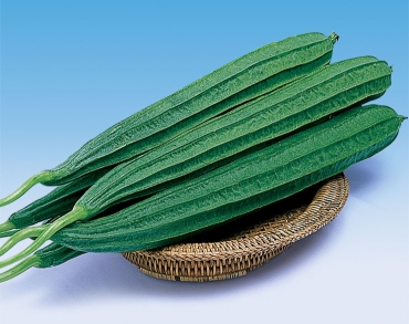 Ridgegourd